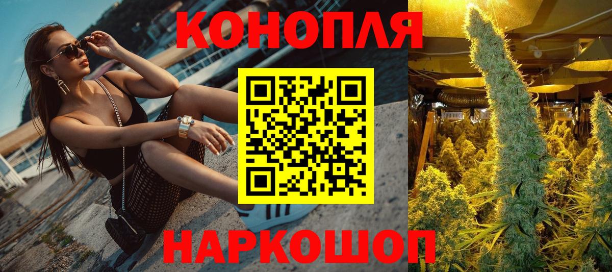 Конопля MAZAR Узловая